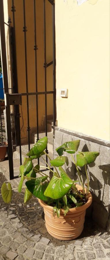 Pompei Vesevus Apartament Boscotrecase Ngoại thất bức ảnh