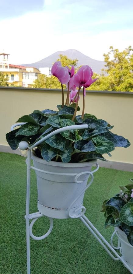Pompei Vesevus Apartament Boscotrecase Ngoại thất bức ảnh